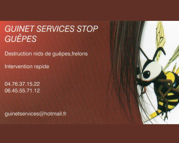 guinet-services-guepes